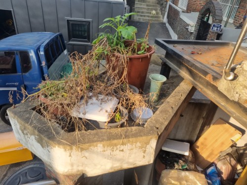 몽땅정리-옥상화분치우기전사진