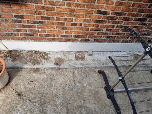 몽땅정리-화분정리완료