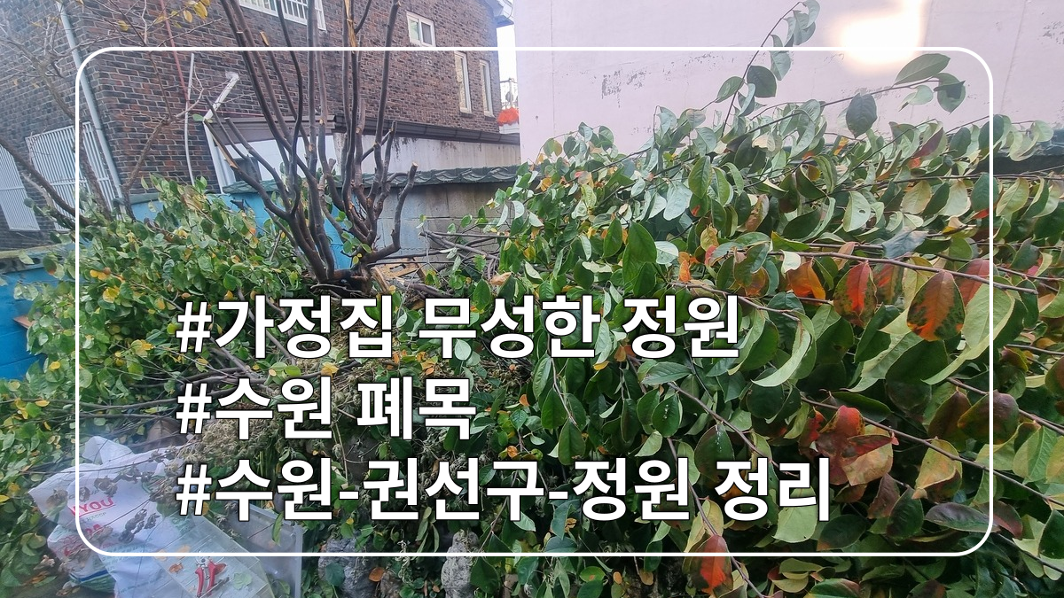 몽땅정리-타이틀이미지-정원 정리