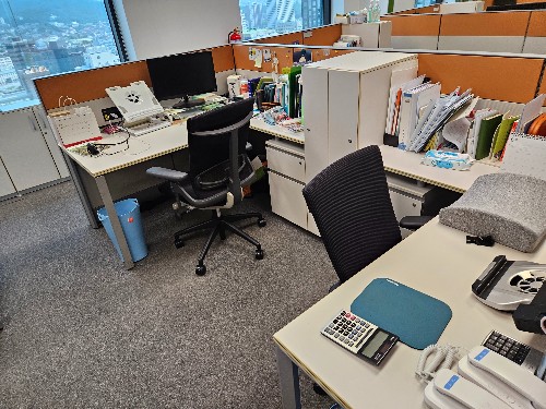 mdwork_238563759_1687744916.6882.jpg