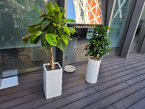 몽땅수거_상가사무실철거_화분수거