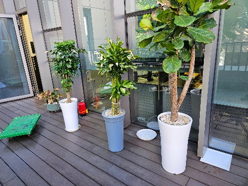 몽땅수거_상가사무실철거_화분수거