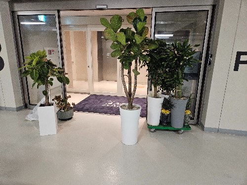 몽땅수거_상가사무실철거_화분수거