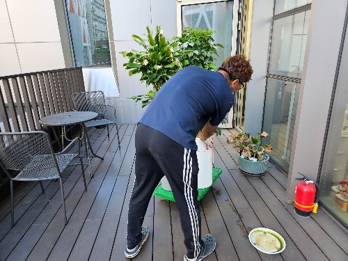 몽땅수거_상가사무실철거_화분수거