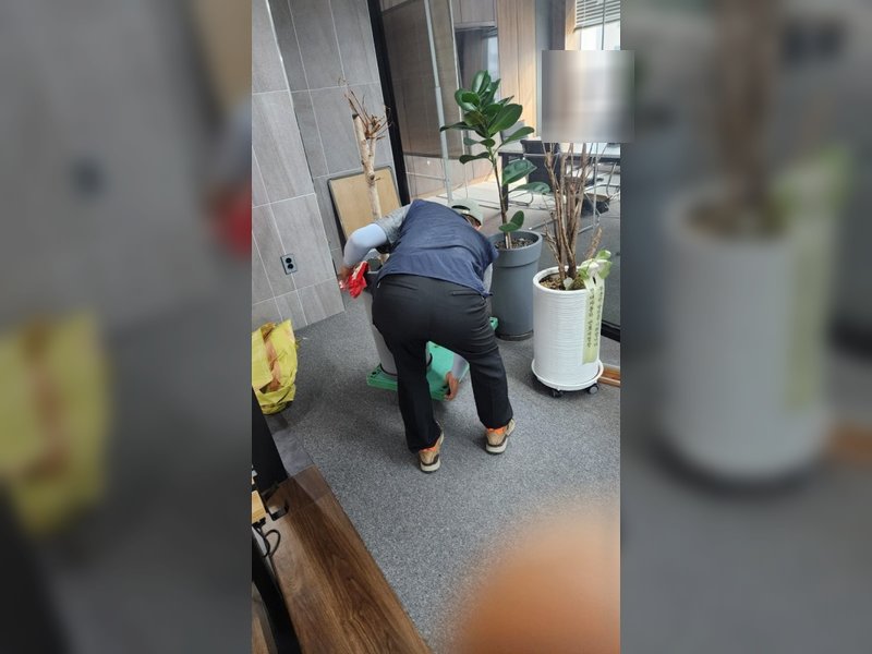 죽은 화분과 주변 물품 정리
