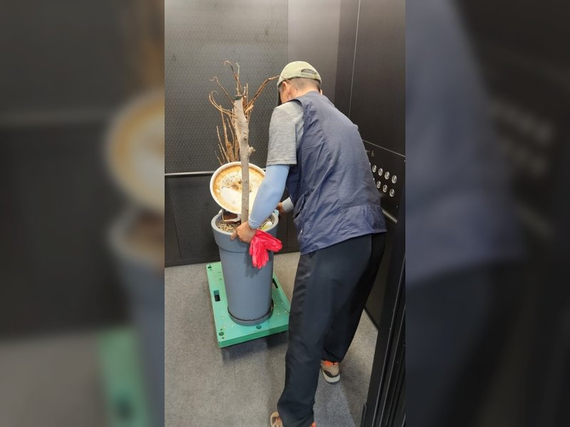 엘리베이터 내 화분 운반