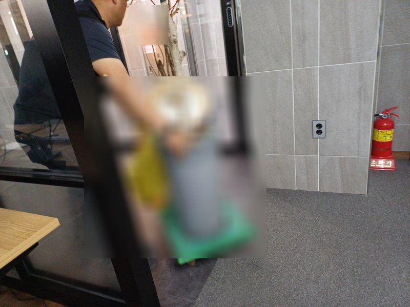 죽은 화분 정리 및 이동