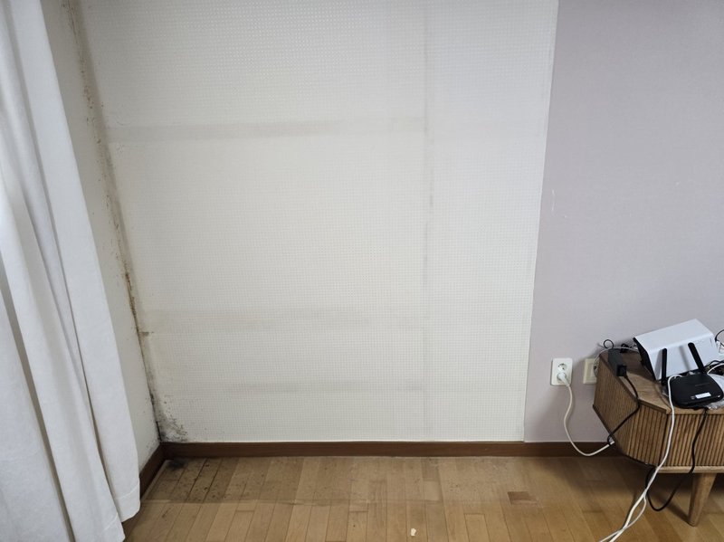 벽지 곰팡이 오염 2