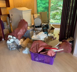 https://mdclean.imgmd.kr/data/editor/2606/thumb-ext_1780881357_7599_265x250.jpg