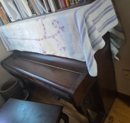 https://mdclean.imgmd.kr/data/editor/2606/thumb-ext_1782701430_3085_265x250.jpg